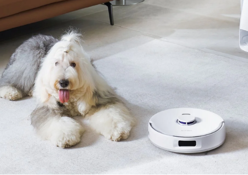 Robot Vacuum's